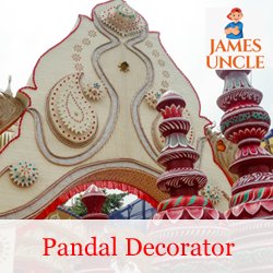 Pandal Decorator Mr. Mridul Paul in Raiganj